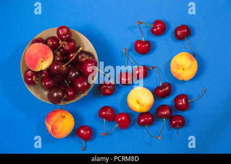Einige Aprikosen und Kirschen auf eine Tabelle mit intensiver blauer Farbe. Stockfoto