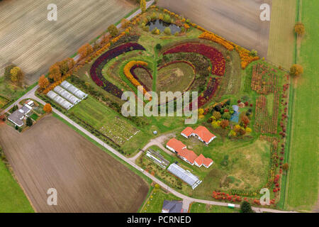 Luftaufnahme, Herz im goldenen Oktober, Indian Summer, Garten shop Markfelder Weg, Waltrop, Ruhrgebiet, Nordrhein-Westfalen, Deutschland, Europa Stockfoto