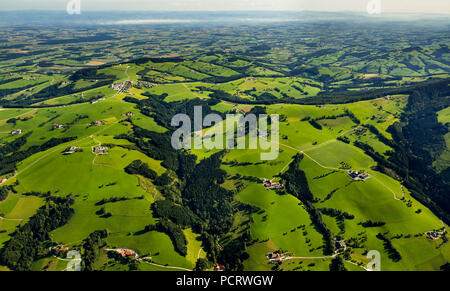 Luftaufnahme, Voralpen mit grünen Wiesen, Sankt Ulrich bei Steyr, Oberösterreich, Österreich Stockfoto