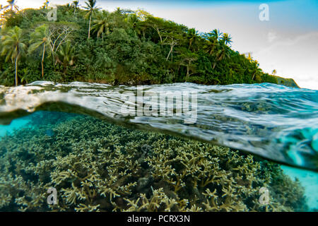 Schnorcheln in der Lagune im Huahine, Französisch Polynesien Stockfoto