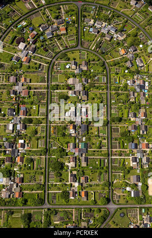 Kleingärten Bochum-Harpen bin Rottmanssteich, Kleingärten, Kleingarten Verein, Bochum, Ruhrgebiet, Nordrhein-Westfalen, Deutschland Stockfoto