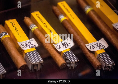 Cohiba Zigarren im Einzelhandel mit Single Packs, kubanische Zigarren in der Werkstatt einer Zigarre Händler, La Habana, Kuba, Karibik, Zentralamerika, La Habana, Kuba Stockfoto