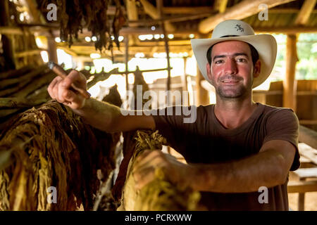 Tabak Landwirt, Tabak Bauer Luis Manne Alvares Rodrigues raucht eine Havanna Zigarre, Tabak Bauernhof im Tal von Vinales, Viñales, Kuba, Pinar del Río, Kuba Stockfoto