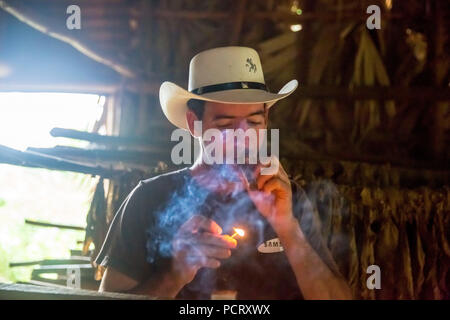 Tabak Landwirt, Tabak Bauer Luis Manne Alvares Rodrigues, der eine Havanna Zigarre, Tabak Bauernhof im Tal von Vinales, Viñales, Kuba, Pinar del Río, Kuba Stockfoto