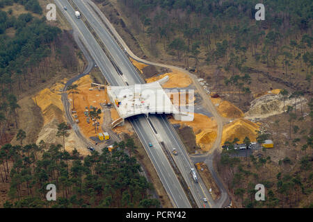 Luftaufnahme, Dorsten, Wildlife Brücke im Bau über die A 31 zwischen Schermbeck und Duelmen, Wildlife überfahrt, Münsterland, Nordrhein-Westfalen, Deutschland, Europa Stockfoto