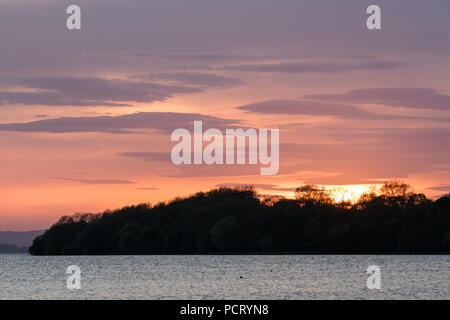 Sonne hinter einer Reihe von Bäumen neben einem See Lough Neagh Stockfoto