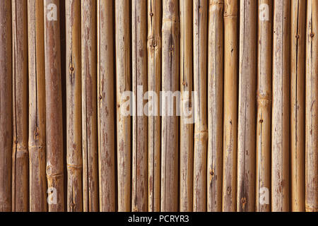 Close up Reihen von Golden Brown, Bambus Zaun Stockfoto