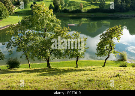 Österreich, Tirol, Alpbachtal, Reith im Alpbachtal, Reither Bäume zu sehen. Stockfoto