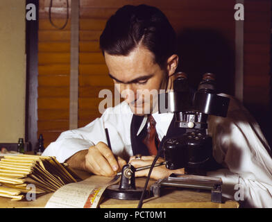 1940 s Mann Prüfung Papier in einem Büro arbeiten Stockfoto