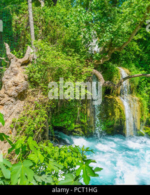 Der Blick auf den kleinen Bach der oberen Duden Wasserfall und üppigem Grün um Sie herum, Antalya, Türkei Stockfoto