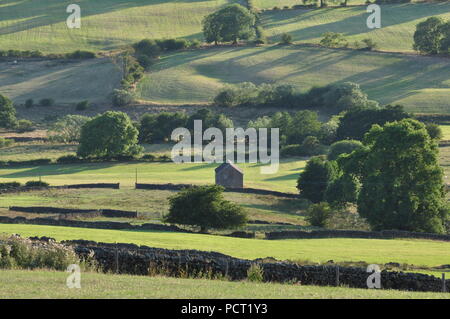 Süd-westlich von Ordnance Survey grid 104633 süd-östlich von Longnor, Staffordshire Peak District, England Großbritannien Stockfoto