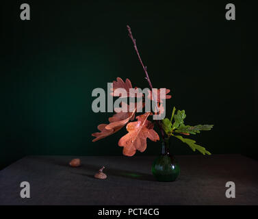 Stillleben mit einer Eiche Zweig und Eicheln. Jahrgang. Minimalismus. Stockfoto