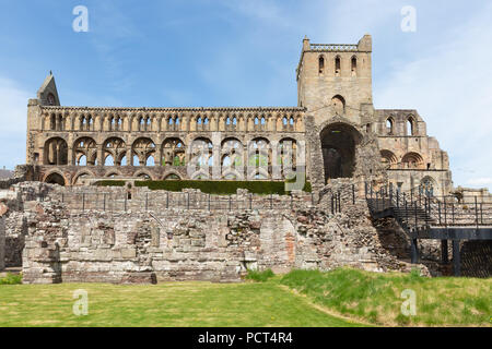 Blick auf die Ruinen der Jedburgh Abbey in Scottish Borders. Stockfoto