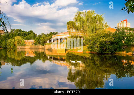 Enten im Restaurant See Stockfoto