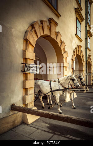 Europa, Österreich, Wien, Innere Stadt, Innenstadt, Hofburg, in der Burg, Fiaker, Kutschev, Wien, Österreich, Hauptstadt Stockfoto