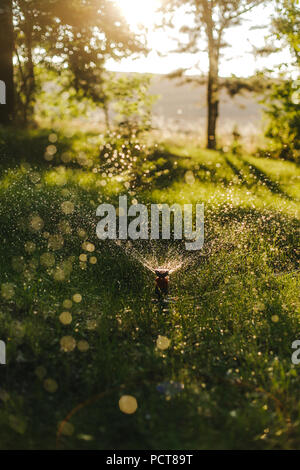 Bewässerung System arbeitet auf einer Wiese Stockfoto