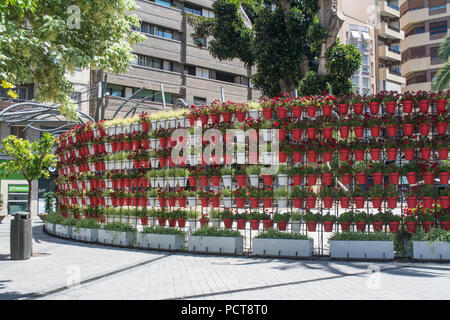 Anzeige von Blumen in der Plaza Santo Domingo in Murcia, Spanien Stockfoto