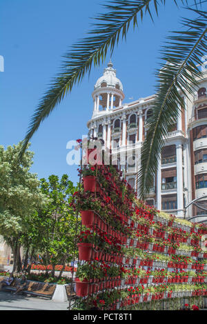 Anzeige von Blumen in der Plaza Santo Domingo in Murcia, Spanien Stockfoto