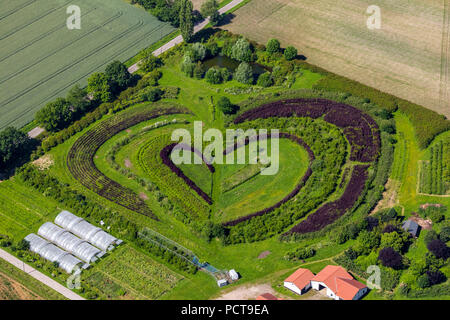 Gartenunternehmen in Waltrop, herzförmigen Baum und Strauch Baumschule, Waltrop, Ruhrgebiet, Nordrhein-Westfalen, Deutschland Stockfoto