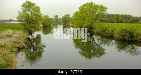 Bäume spiegeln sich in Wasser, Lippe Auen, Lippe, Flusslauf, Naturschutzgebiet südlich von Olfen, Olfen, Ruhrgebiet, Münsterland Stockfoto