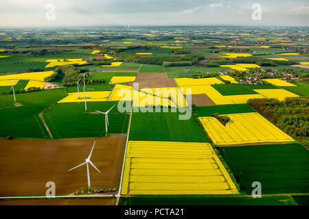 Rapsfeldern, Windkraftanlagen, kleine Felder, Ense Stockfoto