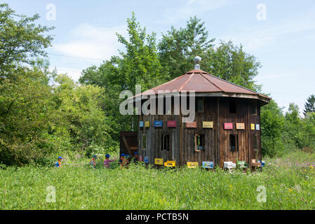 Pro Natura Zentrum Champ-Pittet, Grande Cariçaie Nature Reserve, Cheseaux-Noréaz Südostufer, Lac de Neuchâtel, Kanton Neuenburg, West Switzerland, Schweiz Stockfoto