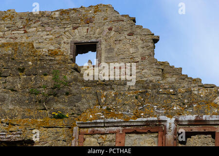 Burgruine Homburg und Naturschutzgebiet Stockfoto