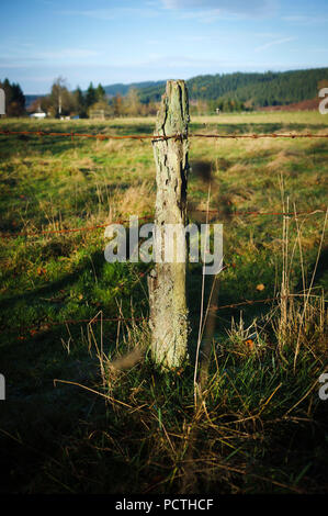 Oakwood Pile, Zaun auf Weideland Stockfoto