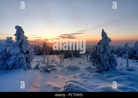 Blick von der Brockenbahn auf dem verschneiten Winterlandschaft auf dem Gipfel des Brocken (1142 m) im Abendlicht, Harz, Sachsen-Anhalt, Deutschland Stockfoto