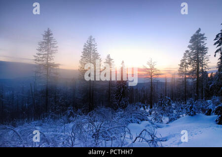 Blick von der Brockenbahn auf dem verschneiten Winterlandschaft in den Sonnenuntergang, Harz, Sachsen-Anhalt, Deutschland Stockfoto