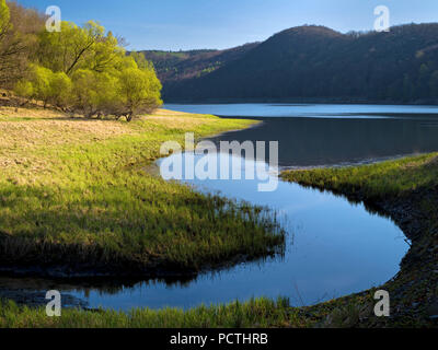 Deutschland, Hessen, Vöhl, Natur und Nationalpark Kellerwald-Edersee, gewundenen Creek Am Lindenberg, Urwald Trail Stockfoto