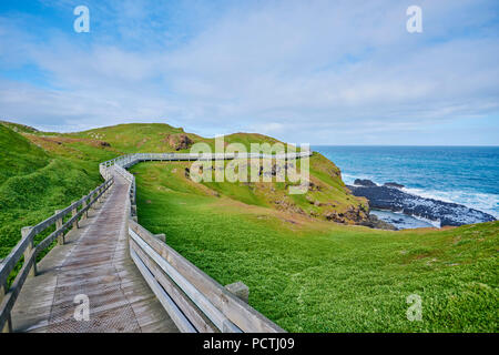 Landschaft (die Nobbies), im Frühjahr auf Phillip Island, Melbourne, Victoria, Australien, Ozeanien Stockfoto