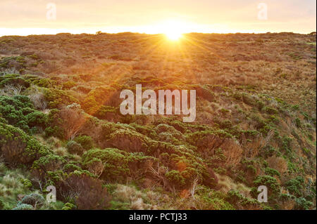 Sonnenaufgang an der Zwölf Apostel, Great Ocean Road, Port Campbell National Park, Victoria, Australien, Ozeanien Stockfoto