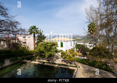 Anzeigen von Priego de Cordoba und die unendlichen Felder mit Olivenbäumen in Andalusien im Süden von Spanien Stockfoto