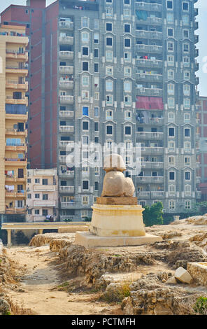 Die gut erhaltene Statue des Sphinx in archäologische Stätte von Pompeius Säule (amoud Al Sawari) mit grossem Wohnhaus von Karmouz Bezirk auf der Rückseite Stockfoto