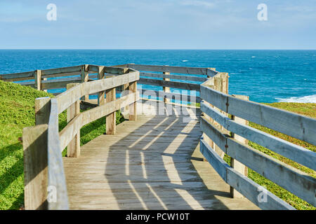 Landschaft (die Nobbies), Pfad, im Frühjahr auf Phillip Island, Melbourne, Victoria, Australien, Ozeanien Stockfoto