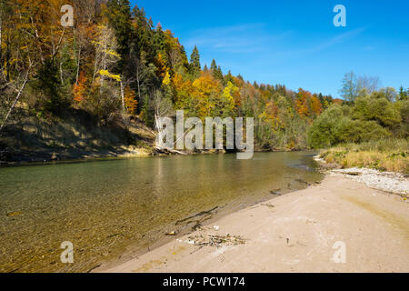 Sandbank auf der Isar im Malerwinkel in der Nähe von Königsdorf, Naturschutzgebiet Isarauen, Oberbayern, Bayern, Deutschland Stockfoto