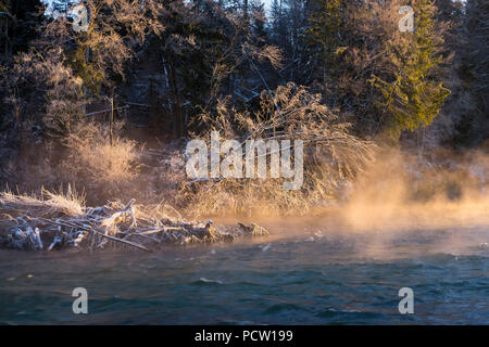 Morgennebel am Wintermorgen, Isar, Naturschutzgebiet Isarauen, Geretsried, Oberbayern, Bayern, Deutschland Stockfoto