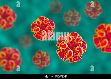 Hepatitis E Virus (HEV), computer Abbildung. HEV Partikel (Virionen) bestehen aus einer äusseren Proteinmantel (Kapsid) begrenzenden RNA (Ribonukleinsäure), das genetische Material des Virus. Infektion mit HEV die Entzündung der Leber und Gelbsucht (Gelbfärbung der Augen und der Haut). Hepatitis E ist besonders gefährlich für schwangere Frauen. Stockfoto