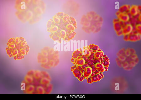 Hepatitis E Virus (HEV), computer Abbildung. HEV Partikel (Virionen) bestehen aus einer äusseren Proteinmantel (Kapsid) begrenzenden RNA (Ribonukleinsäure), das genetische Material des Virus. Infektion mit HEV die Entzündung der Leber und Gelbsucht (Gelbfärbung der Augen und der Haut). Hepatitis E ist besonders gefährlich für schwangere Frauen. Stockfoto