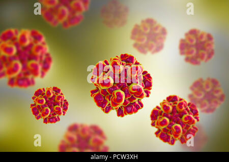 Hepatitis E Virus (HEV), computer Abbildung. HEV Partikel (Virionen) bestehen aus einer äusseren Proteinmantel (Kapsid) begrenzenden RNA (Ribonukleinsäure), das genetische Material des Virus. Infektion mit HEV die Entzündung der Leber und Gelbsucht (Gelbfärbung der Augen und der Haut). Hepatitis E ist besonders gefährlich für schwangere Frauen. Stockfoto