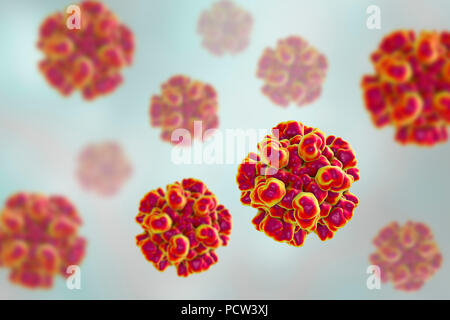 Hepatitis E Virus (HEV), computer Abbildung. HEV Partikel (Virionen) bestehen aus einer äusseren Proteinmantel (Kapsid) begrenzenden RNA (Ribonukleinsäure), das genetische Material des Virus. Infektion mit HEV die Entzündung der Leber und Gelbsucht (Gelbfärbung der Augen und der Haut). Hepatitis E ist besonders gefährlich für schwangere Frauen. Stockfoto