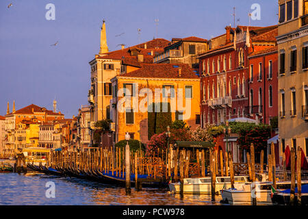 Gondeln auf dem Canal Grande in Venedig, Italien geparkt Stockfoto