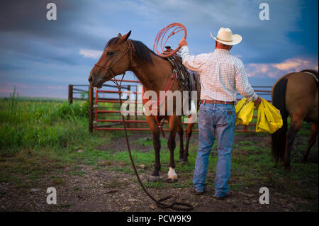 Cowboy Vorbereitung lasso und Pferd bereit, um Vieh auf einer Ranch zu erhalten, Flint Hills, Kansas, USA. Stockfoto