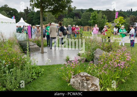 Menschen sehen zentrales Merkmal Baum, gepflasterten Bereich und Blumen im Garten, schöne Show - Macmillan Erbe Garten, RHS Chatsworth Flower Show, England, UK. Stockfoto