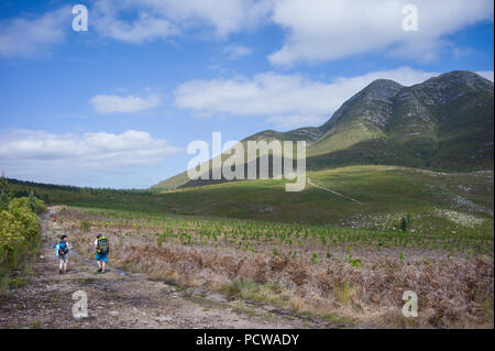 Der Tsitsikamma Wanderweg ist ein multi-day Backpacking Trail beginnend an der Küste des Indischen Ozeans in der Nähe von Nature's Valley und endend an Storm's River. Stockfoto