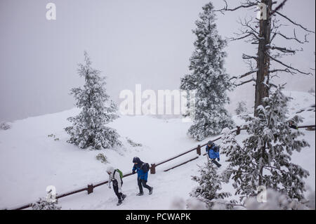 Höhe Bryce Canyon National Park auf der Paunsaugunt Plateau ist wahrscheinlich Schnee im Winter für mehr Kontrast für Sehenswürdigkeiten der Park zu haben. Stockfoto