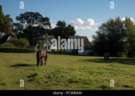 Lauenburg ist die älteste und kleinste Dorf auf der Insel Hiddensee in der Ostsee westlich von Deutschlands größter Insel Rügen. Stockfoto