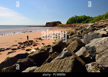 Dawlish Warren Beach in der Nähe von langstone Rock, Rock Rüstung am Meer entlang der Wand. Stockfoto