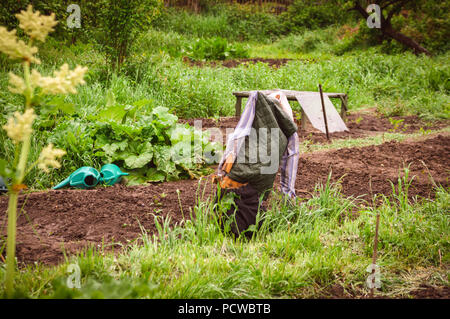 Ein hausgemachtes Vogelscheuche stehend auf eine Zuteilung Grundstück in England Großbritannien Stockfoto